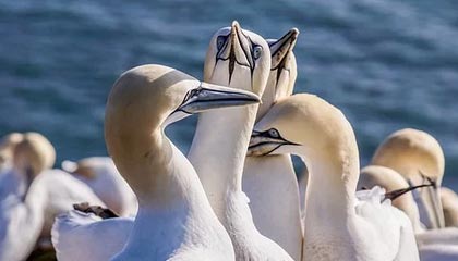 迪庆最新的高价医保个人账户余额微信查询方法分享(迪庆医保查询个人账户明细怎么查微信教程)